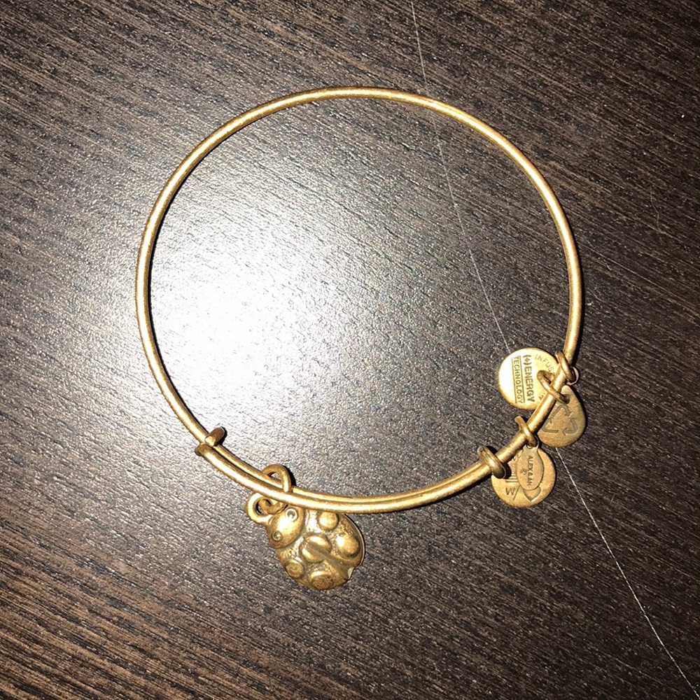Alex and Ani bracelet